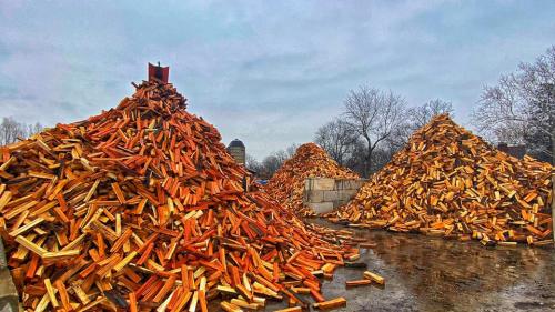 Image for Lumberjacks, Inc. with ID of: 5447174