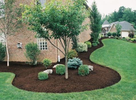 Image for Lumberjacks, Inc. with ID of: 5447191
