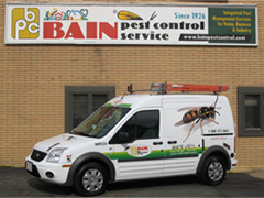 Image for Bain Pest Control Service with ID of: 635766