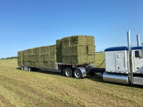 Image for Sunflower State Hay with ID of: 5448255