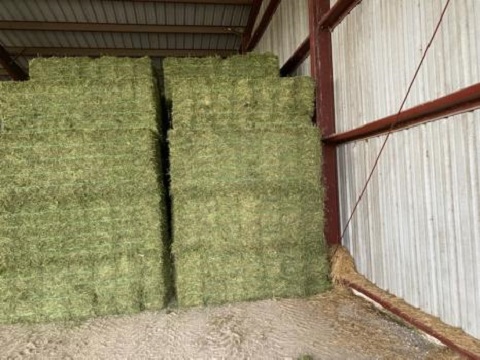Image for Sunflower State Hay with ID of: 5448256