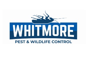 Image for Whitmore Pest & Wildlife Control with ID of: 6358580