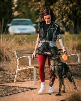 Image for Ridgeside K9 Carolinas Dog Training with ID of: 5450390
