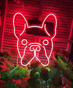 Image for Radikal Neon with ID of: 5453433