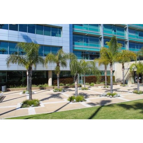 Image for Southern California Tree & Landscape with ID of: 5457034