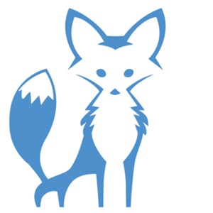 Image for Blue Fox Roofing & Renovations with ID of: 6362707