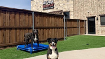Image for All Dogs Unleashed with ID of: 4859502