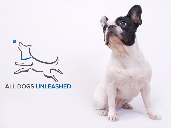 Image for All Dogs Unleashed with ID of: 4859505