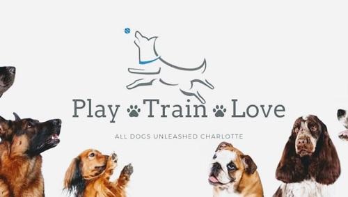 Image for All Dogs Unleashed with ID of: 5458972