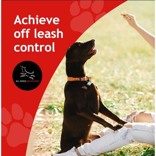Image for All Dogs Unleashed with ID of: 5458974