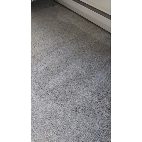 Image for Commonwealth Chem-Dry with ID of: 5459569