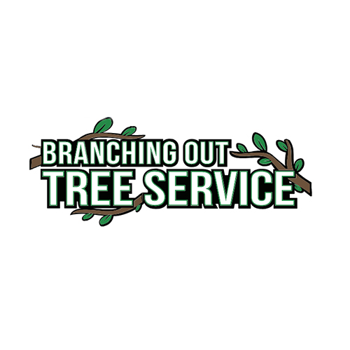 Image for Branching Out Tree Service with ID of: 6366036