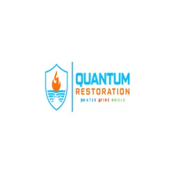 Image for Quantum Restoration with ID of: 6367056