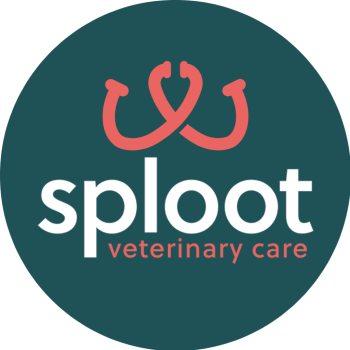 Image for Sploot Veterinary Care - Interquest with ID of: 6367608