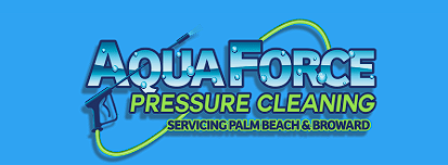 Image for Aqua Force Pressure Cleaning with ID of: 6367871