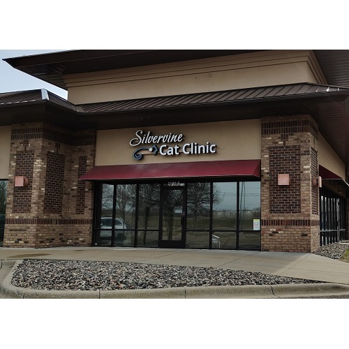 Image for Silvervine Cat Clinic with ID of: 5461071