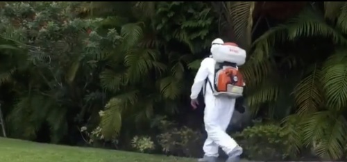 Image for Ideal Pest Control, INC. with ID of: 5463455