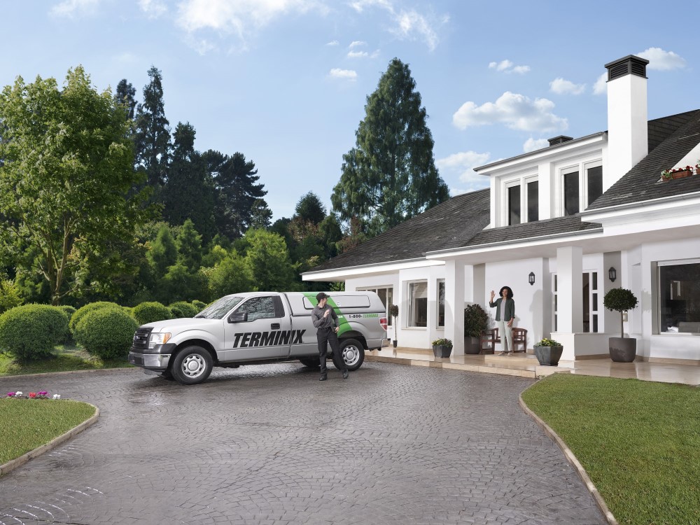 Image for AAI Pest Control with ID of: 5464238