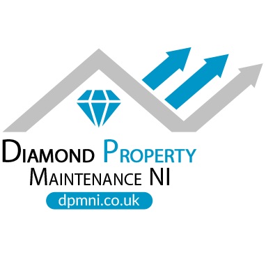 Image for DPMNI Ltd with ID of: 6371142
