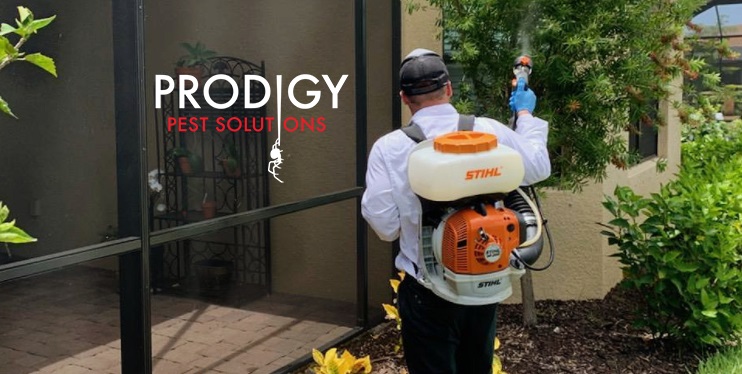 Image for Prodigy Pest Solutions with ID of: 5468258