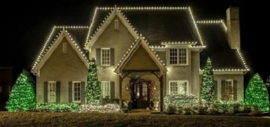 Image for Blingle Premier Lighting with ID of: 5468482