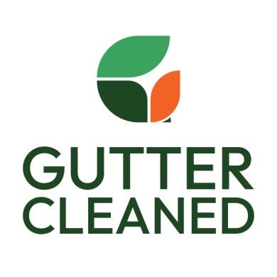 Image for Gutter Cleaned with ID of: 6374616