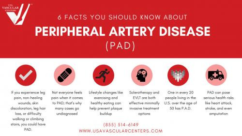 Image for USA Vascular Centers with ID of: 5475081