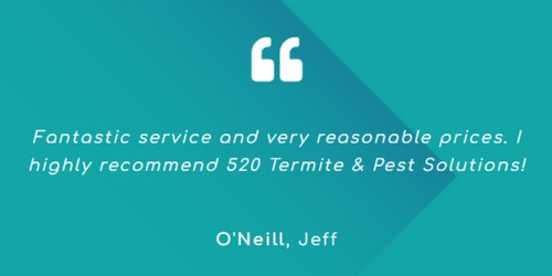 Image for 520 Termite & Pest Solutions with ID of: 5478430