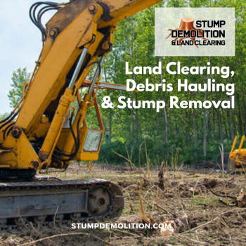 Image for Stump Demolition and Land Clearing with ID of: 5478613
