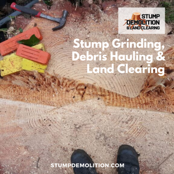 Image for Stump Demolition and Land Clearing with ID of: 5478614