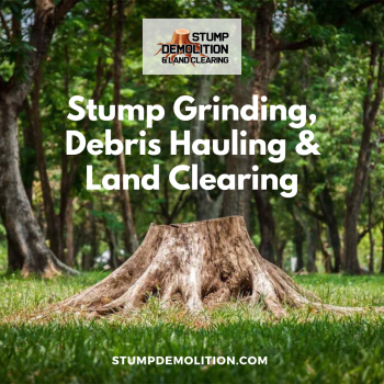 Image for Stump Demolition and Land Clearing with ID of: 5478616