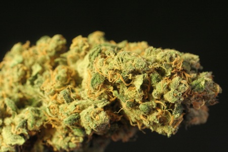 Image for Helping Hands Herbals with ID of: 638746