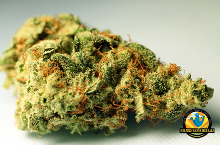 Image for Helping Hands Herbals with ID of: 638754