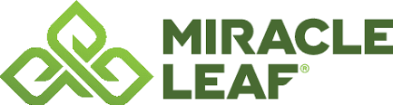 Image for Miracle Leaf Medical Marijuana Doctor with ID of: 6388882