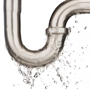 Image for Ory's Plumbing Solutions with ID of: 5486452