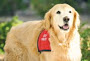 Image for MD Home Health/MD Home Assist with ID of: 639244