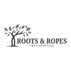 Image for Roots & Ropes Tree Services with ID of: 6392507