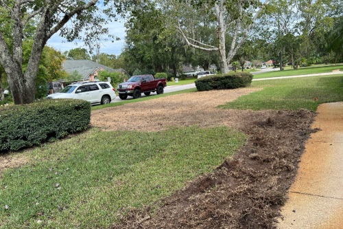 Image for Jax Sod with ID of: 5487455