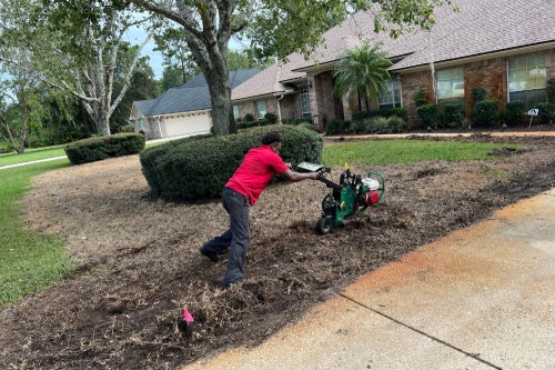 Image for Jax Sod with ID of: 5487456
