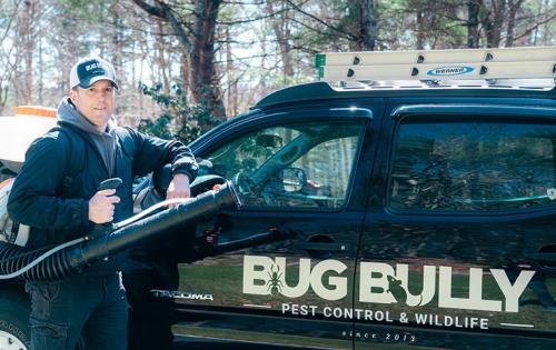 Image for Bug Bully Pest Control with ID of: 5487766
