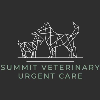 Image for Summit Veterinary Urgent Care with ID of: 6396366