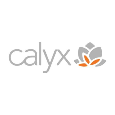 Image for Calyx IT with ID of: 6396630