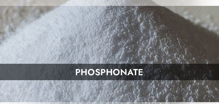 Image for U.S. Phosphonate Prices, News, Trend, Graph, Chart, Monitor and Forecast with ID of: 6397275