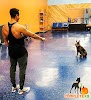 Image for The Complete K9 - Birmingham, AL with ID of: 5494274