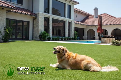 Image for DFW Turf Solutions with ID of: 5495169
