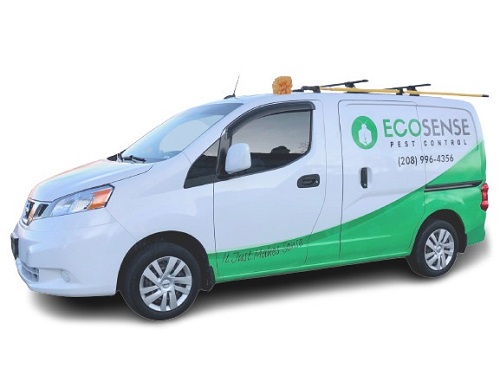 Image for EcoSense Pest Control with ID of: 5496069