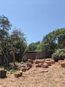 Image for La Sirenita Tree Service with ID of: 5497843