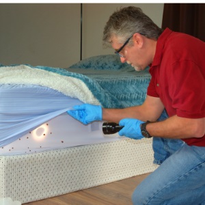 Image for Baltimore Pest Control Exterminators with ID of: 5499156
