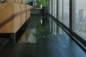 Image for Water Removal with ID of: 5500307