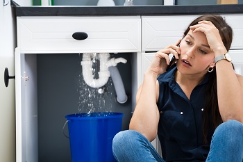 Image for Water Removal with ID of: 5500309